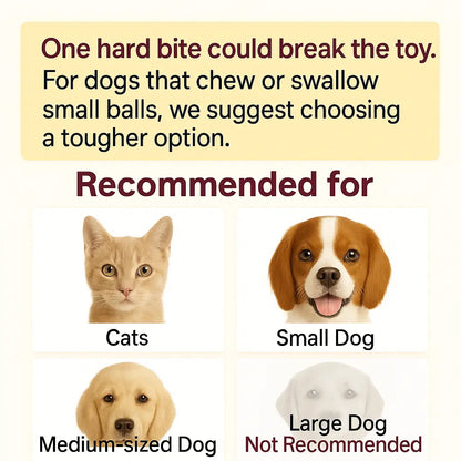 Interactive Cat & Dog Rolling Ball Toy